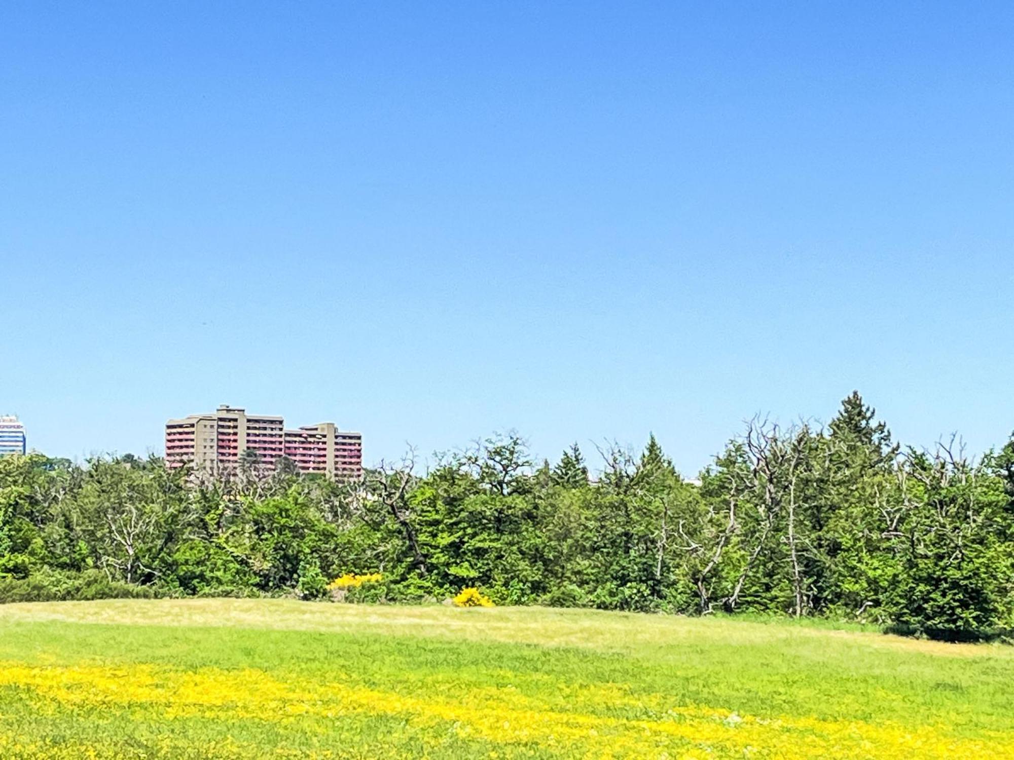 Apartment B907 By Interhome ラーンシュタイン エクステリア 写真